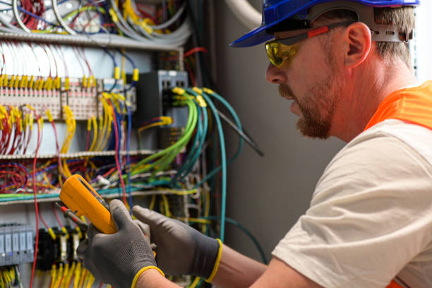Best Electric Panel Repair  in Cartervle, IL